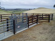 cattle yards